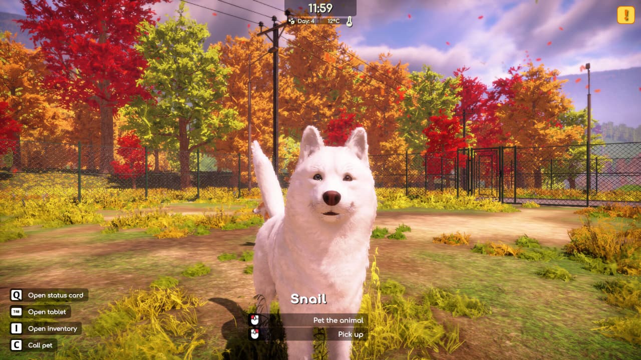 动物收容所2[Animal Shelter 2] 游戏截图13