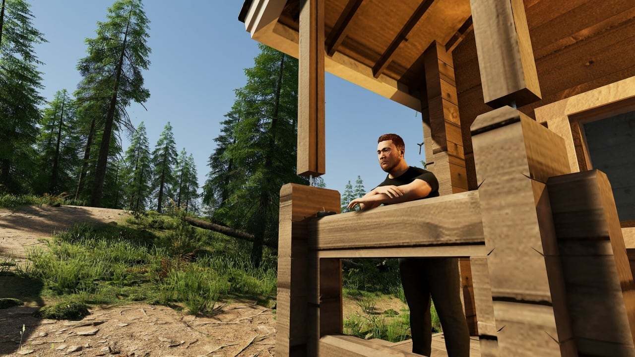 芬兰小屋模拟器[Finnish Cottage Simulator] 游戏截图8