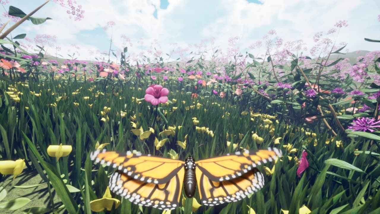 自然与生命-醉于花蜜[Nature And Life - Drunk On Nectar] 游戏截图2