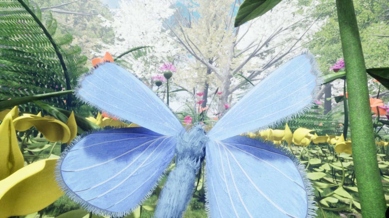 自然与生命-醉于花蜜[Nature And Life - Drunk On Nectar] 游戏截图9