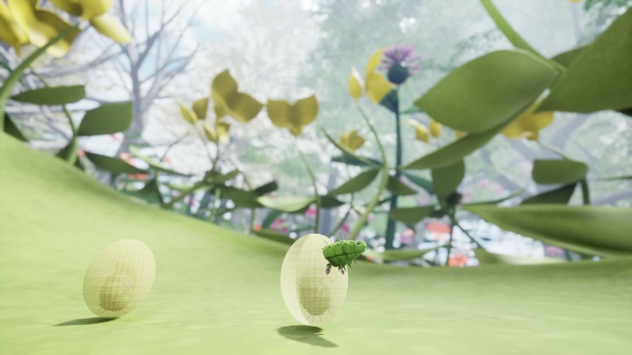 自然与生命-醉于花蜜[Nature And Life - Drunk On Nectar] 游戏截图10