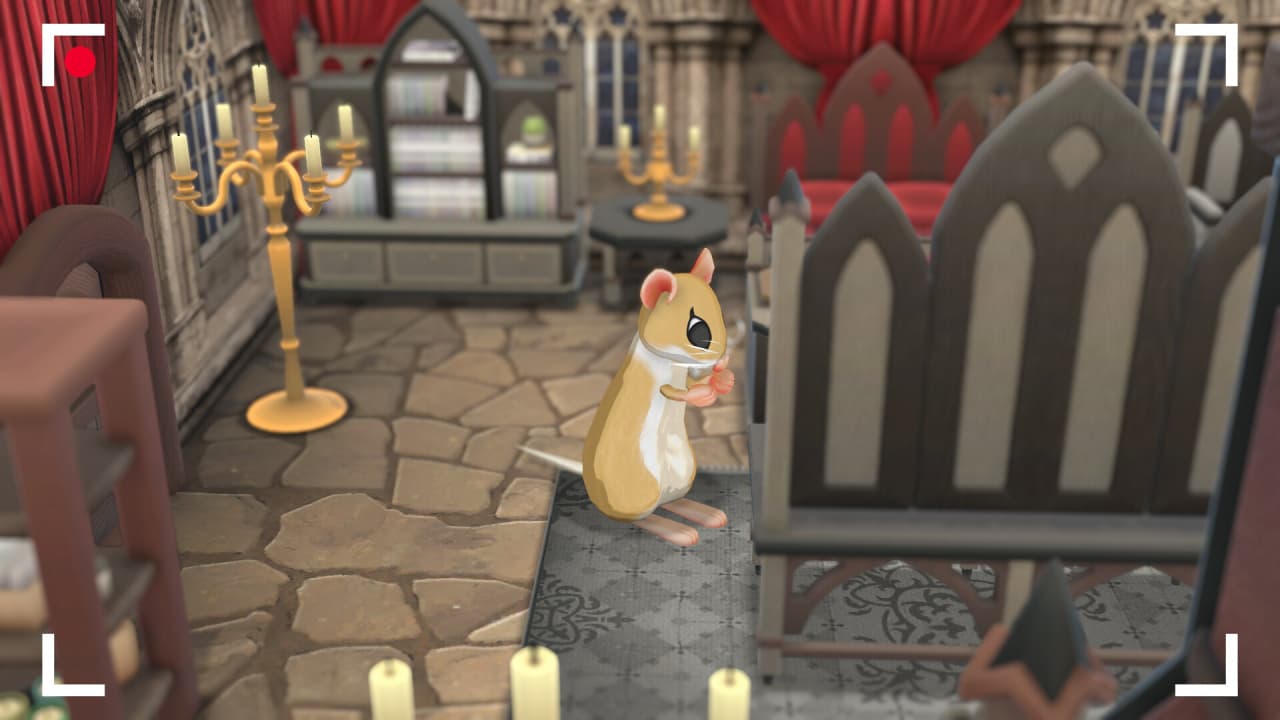 Squeakross：主页 Squeak 主页[Squeakross: Home Squeak Home] 游戏截图9