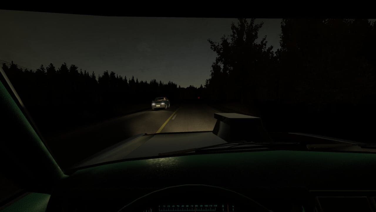 我的夏季汽车[My Summer Car] 游戏截图7