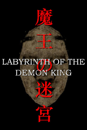 魔王迷宫[Labyrinth Of The Demon King] 游戏封面