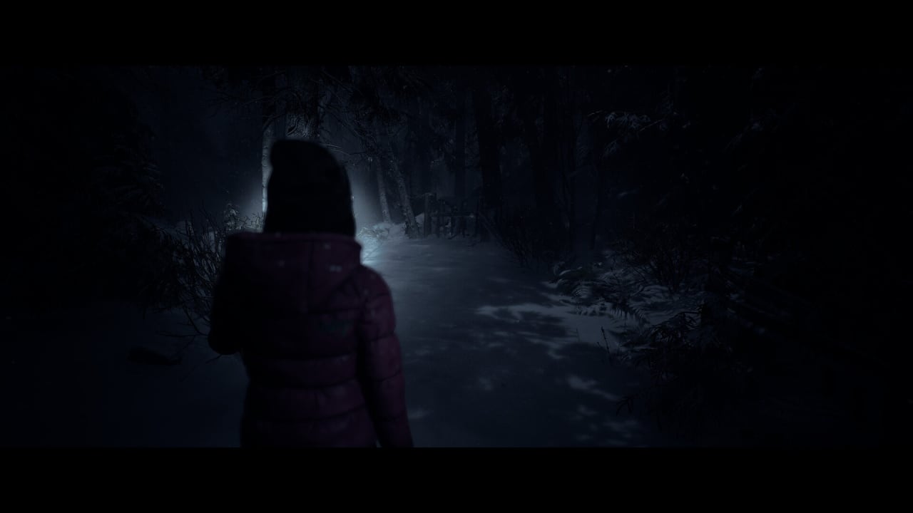 直到黎明[Until Dawn] 游戏截图12