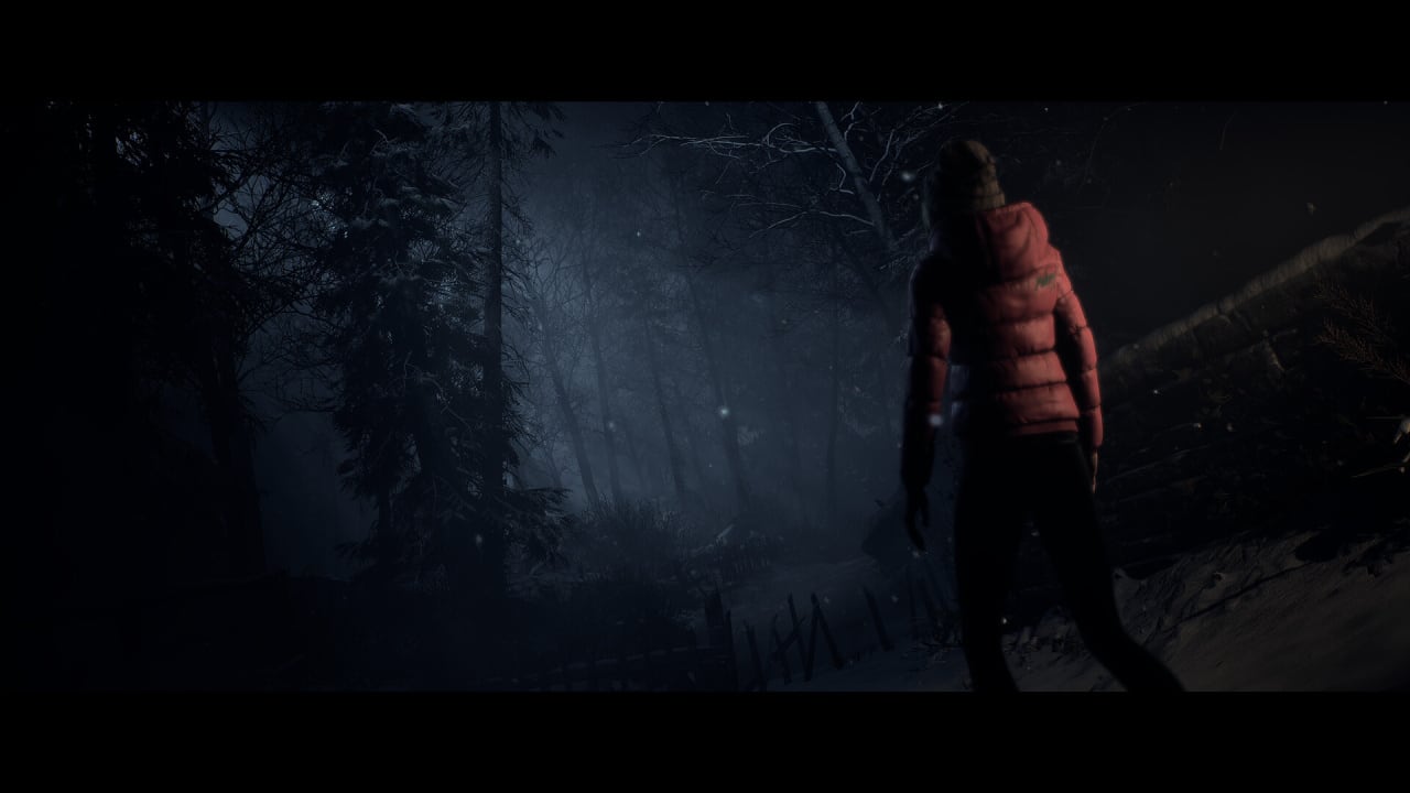 直到黎明[Until Dawn] 游戏截图9