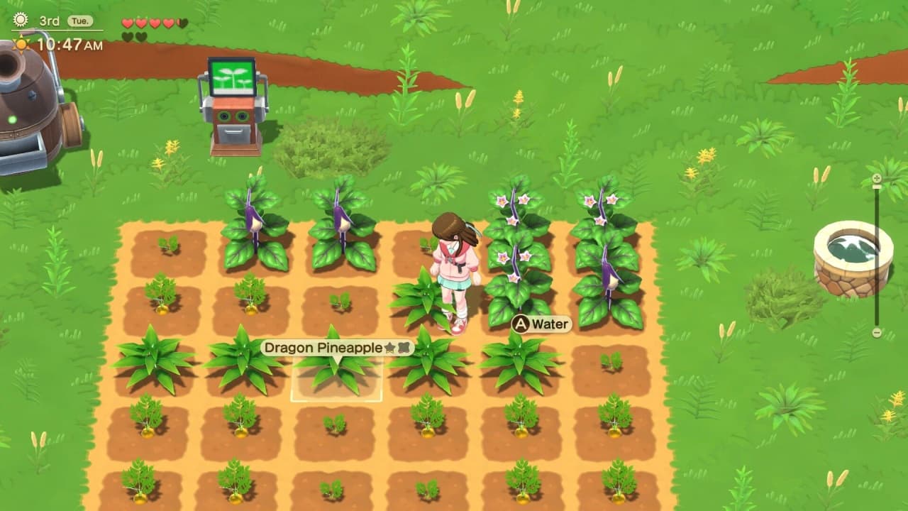 牧场物语：甜蜜之家特别版[Harvest Moon: Home Sweet Home Special Edition] 游戏截图2