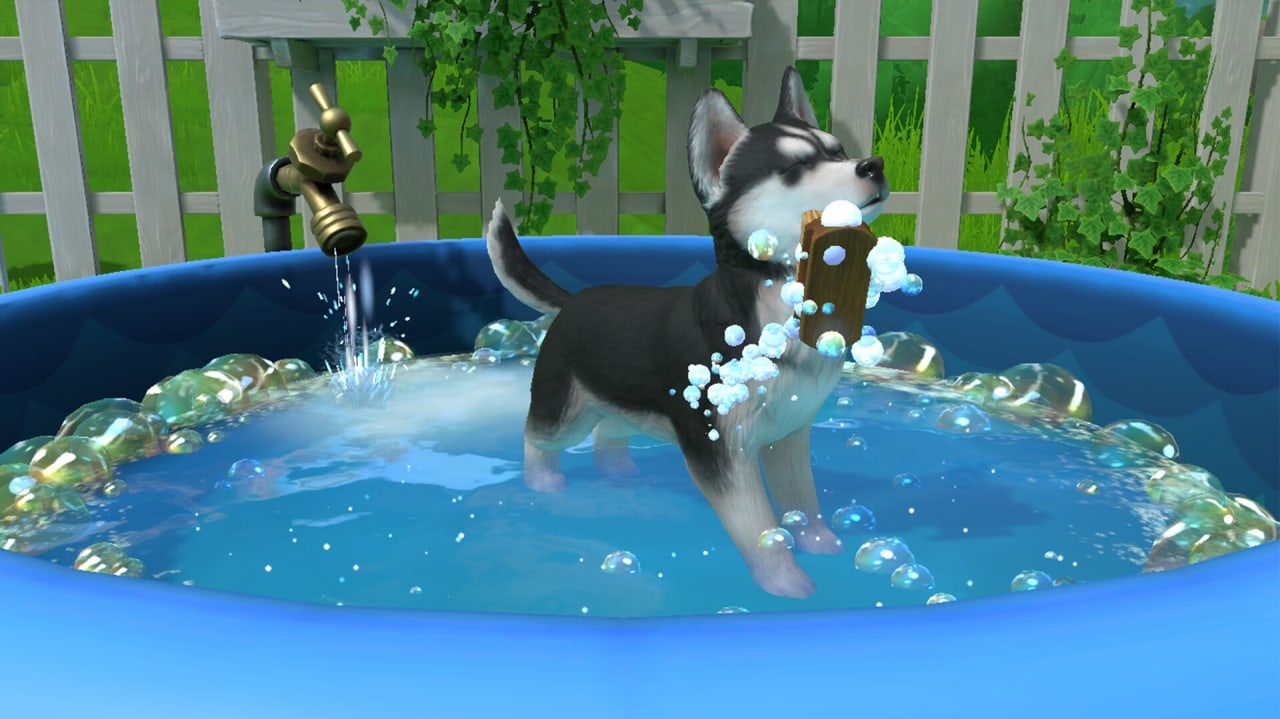 Little Friends: Puppy Island 游戏截图7