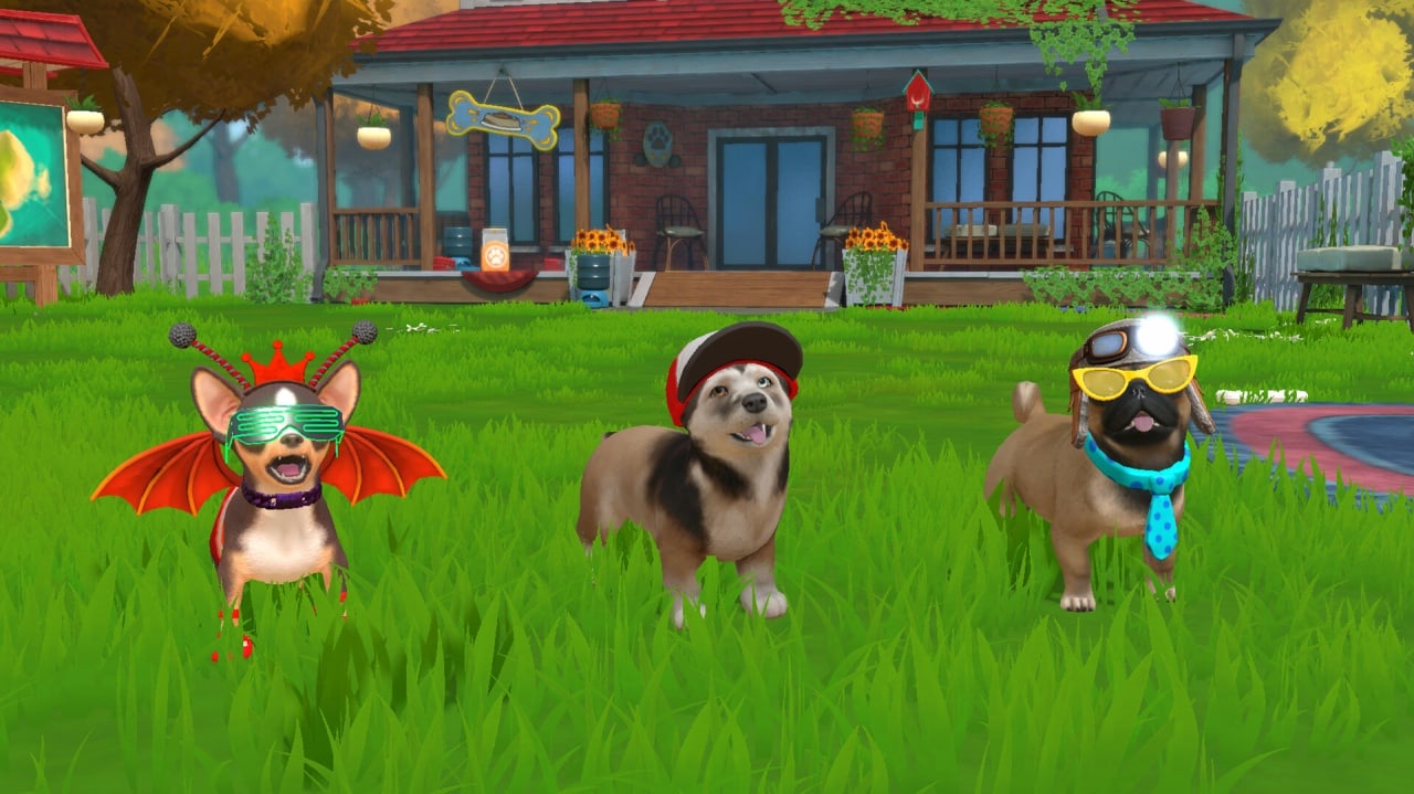 Little Friends: Puppy Island 游戏截图8