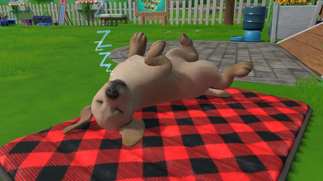 Little Friends: Puppy Island 游戏截图5