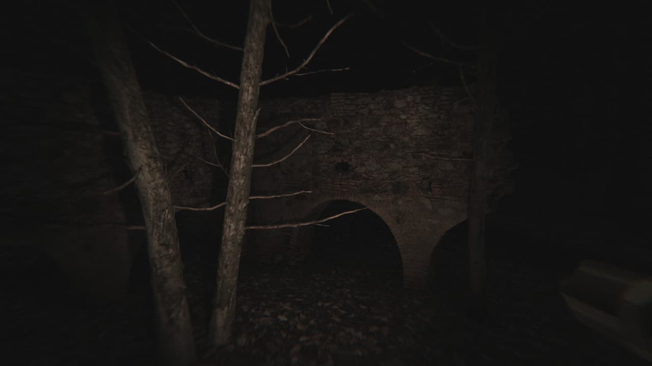 死寂——诅咒者的回声[Dead Silence - Echoes of the Damned] 游戏截图11