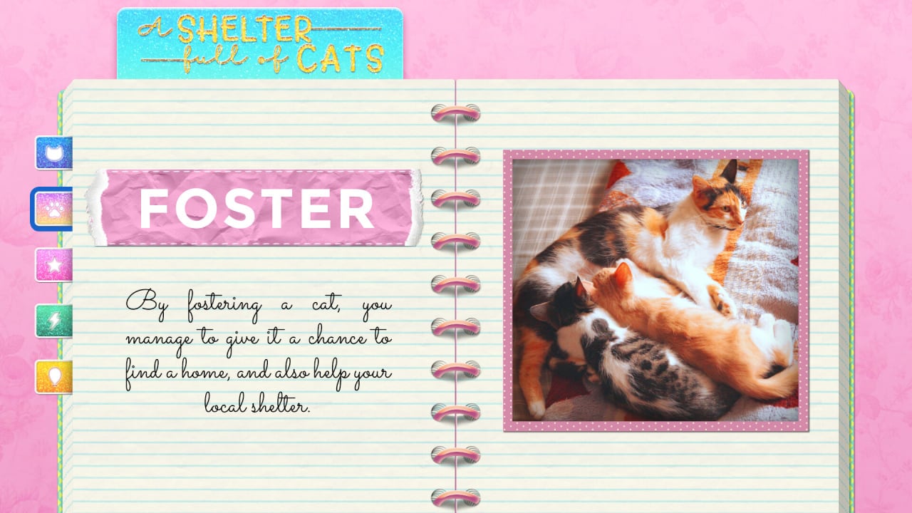 充满猫的庇护所[A Shelter Full of Cats] 游戏截图8