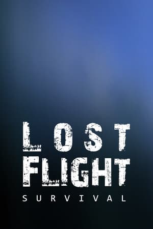 迷失航班：生存[Lost Flight: Survival] 游戏封面