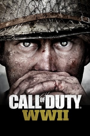 使命召唤：二战[Call of Duty: WW2] 游戏封面