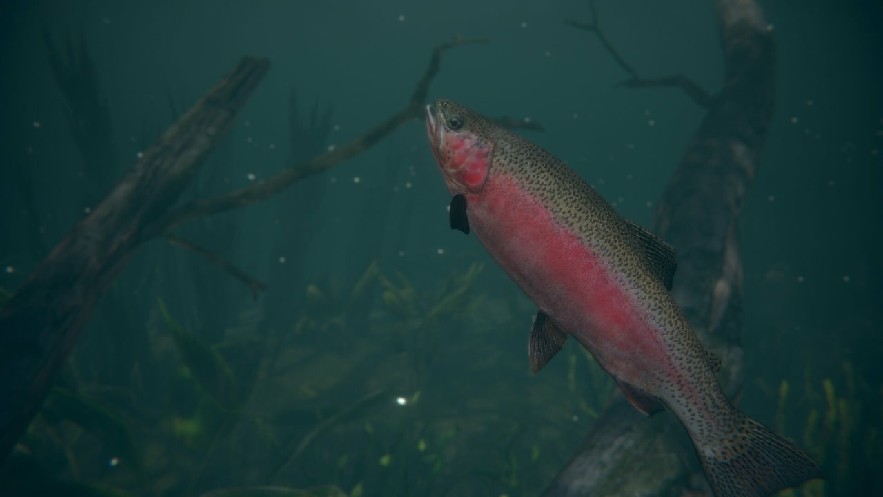 终极钓鱼模拟器2[Ultimate Fishing Simulator 2] 游戏截图2