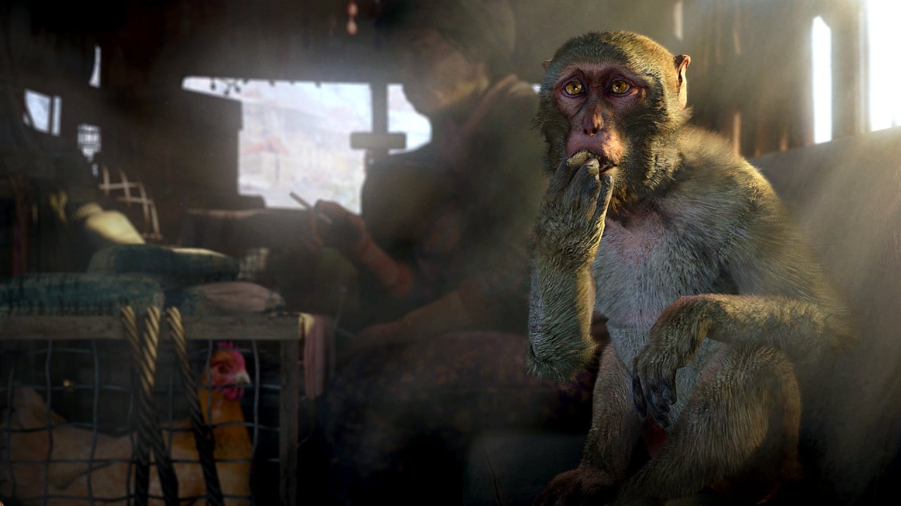 孤岛惊魂4[Far Cry 4] 游戏截图4