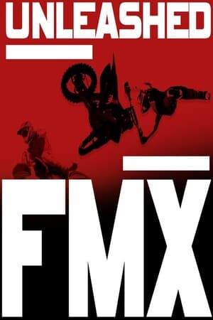 释放 Fmx[Unleashed Fmx] 游戏封面