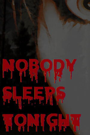 今晚没人睡觉[Nobody Sleeps Tonight] 游戏封面