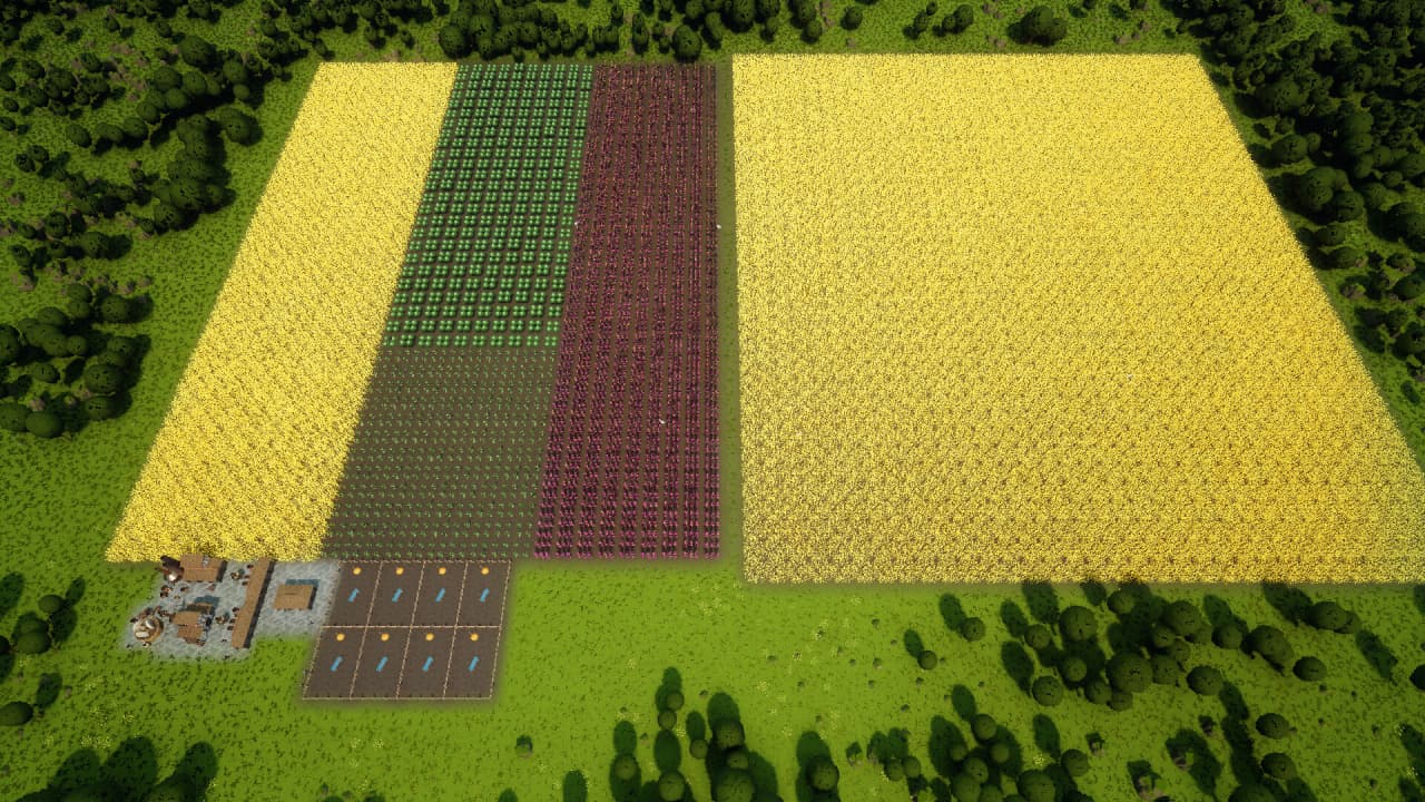 黄金田[Fields of Gold] 游戏截图6
