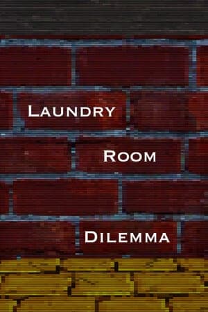 洗衣房的困境[Laundry Room Dilemma] 游戏封面