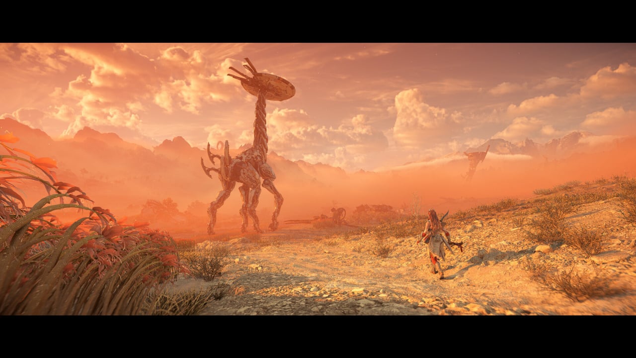 地平线禁西[Horizon Forbidden West] 游戏截图5