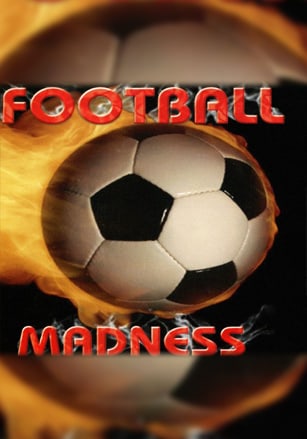 足球疯狂[Football Madness] 游戏封面