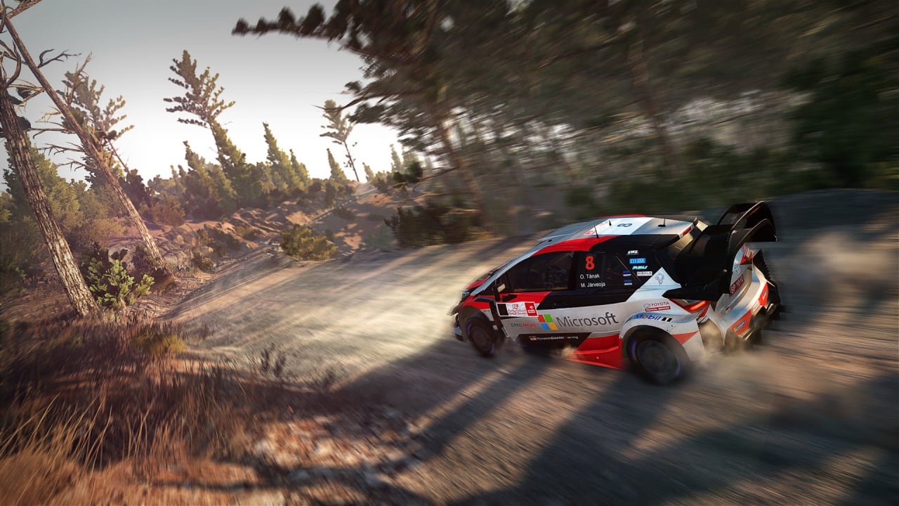 WRC 8 国际汽联世界拉力锦标赛[WRC 8 FIA World Rally Championship] 游戏截图3