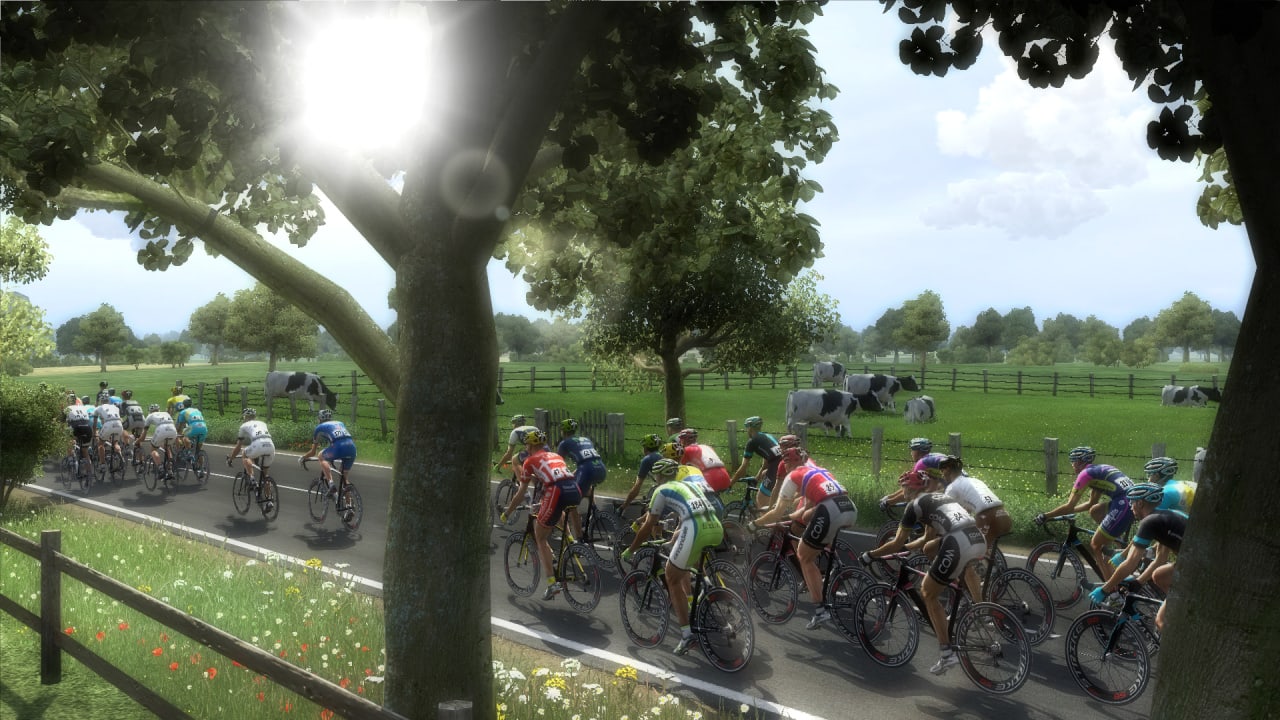 职业自行车经理 2014[Pro Cycling Manager 2014] 游戏截图8