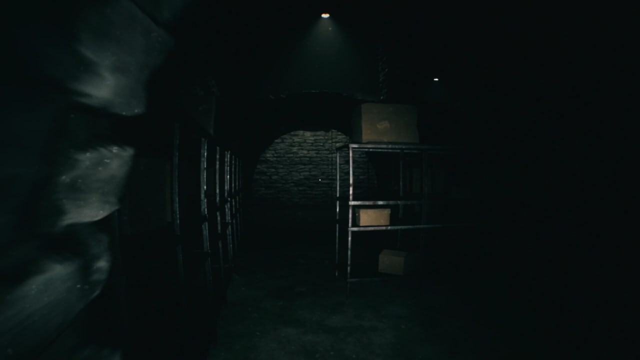坚定：神圣的灵魂[FORSISTED: The Sacred Souls] 游戏截图2