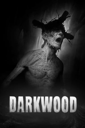 黑木[Darkwood] 游戏封面
