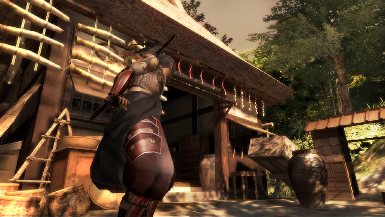 天诛Z[Tenchu Z] 游戏截图2
