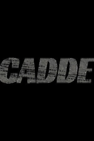 清除[CADDE] 游戏封面