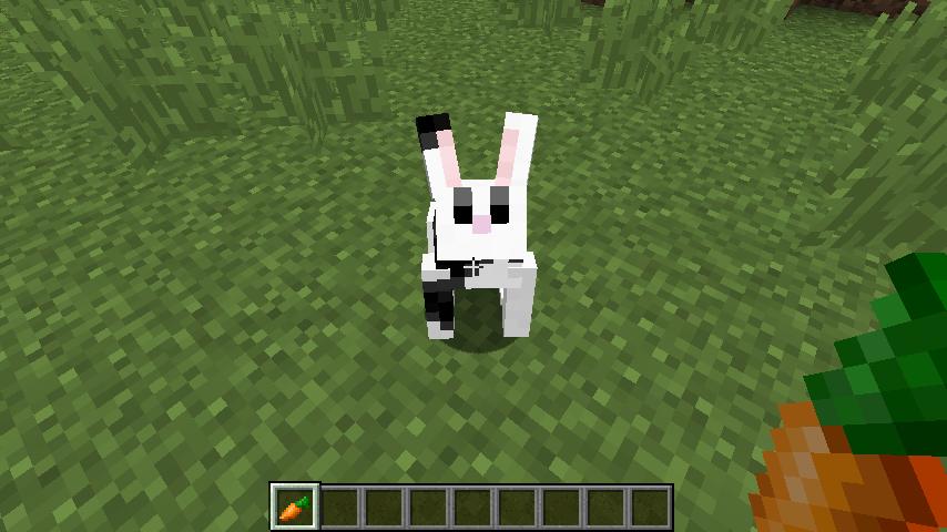 我的世界[Minecraft] 游戏截图6