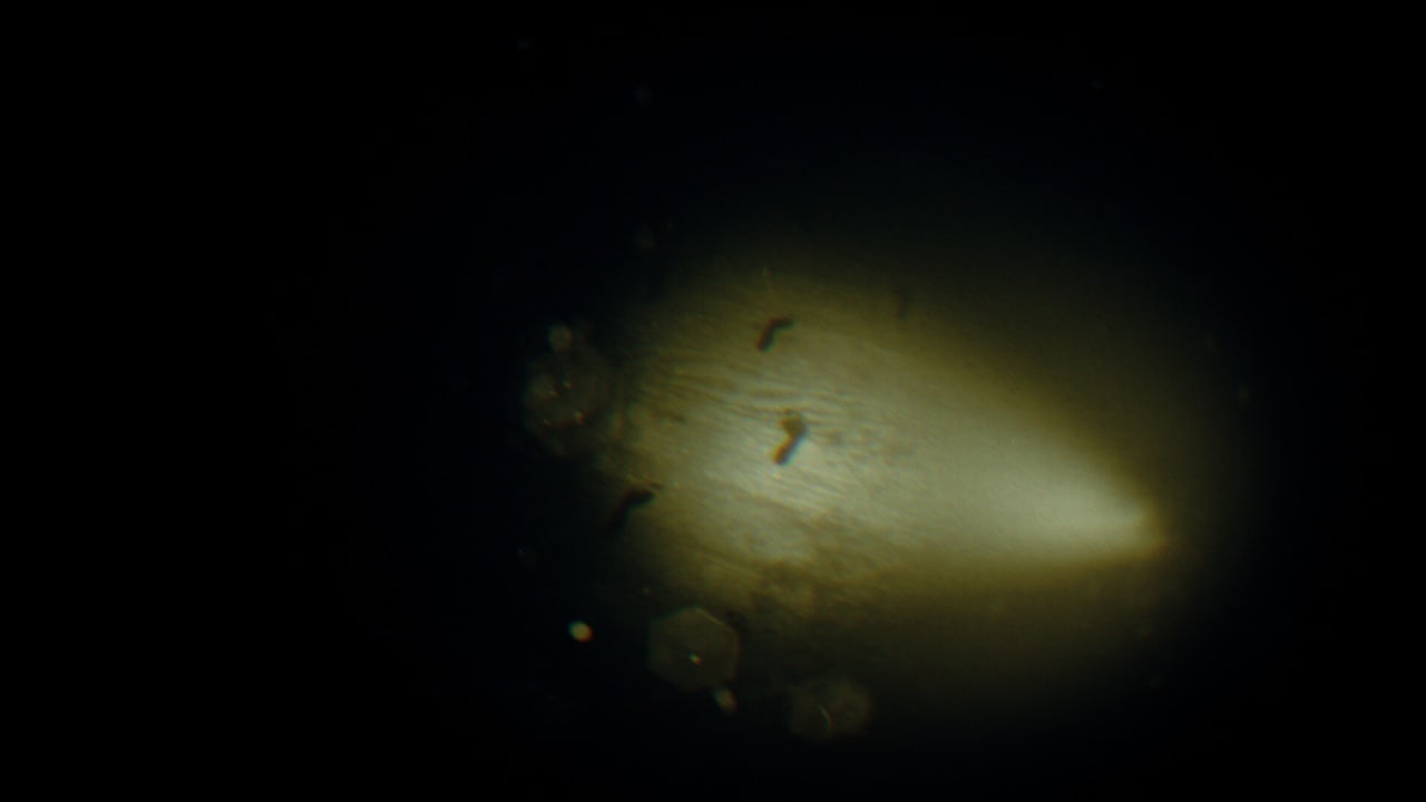 录音：镜头之外[REC: Beyond The Lens] 游戏截图11