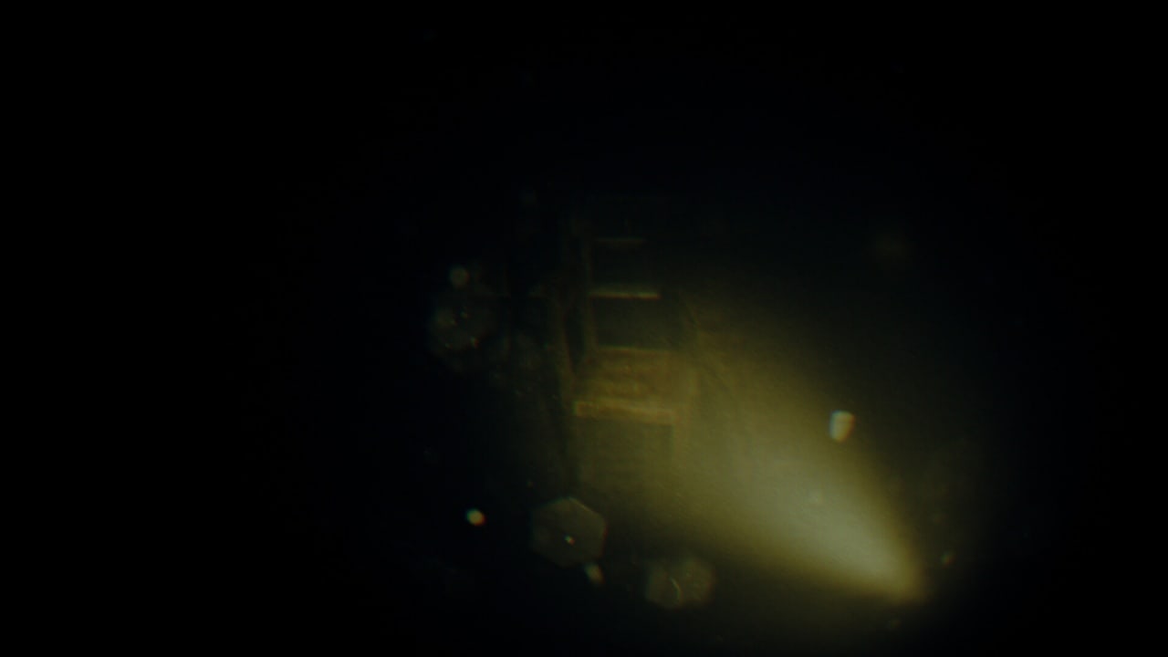 录音：镜头之外[REC: Beyond The Lens] 游戏截图9