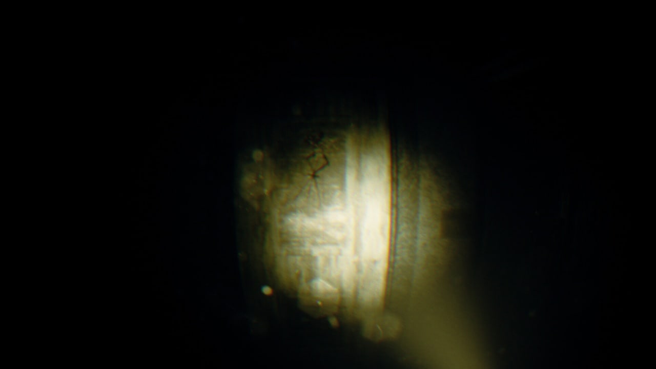 录音：镜头之外[REC: Beyond The Lens] 游戏截图6