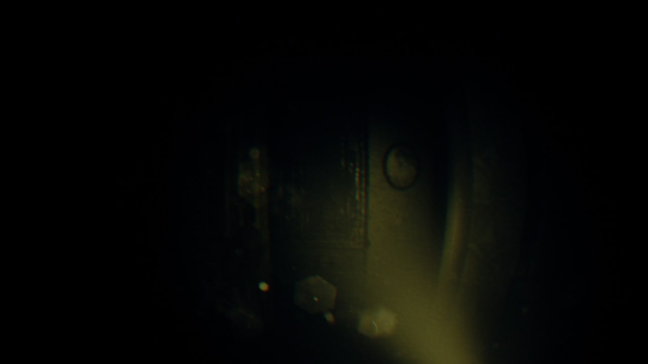 录音：镜头之外[REC: Beyond The Lens] 游戏截图2