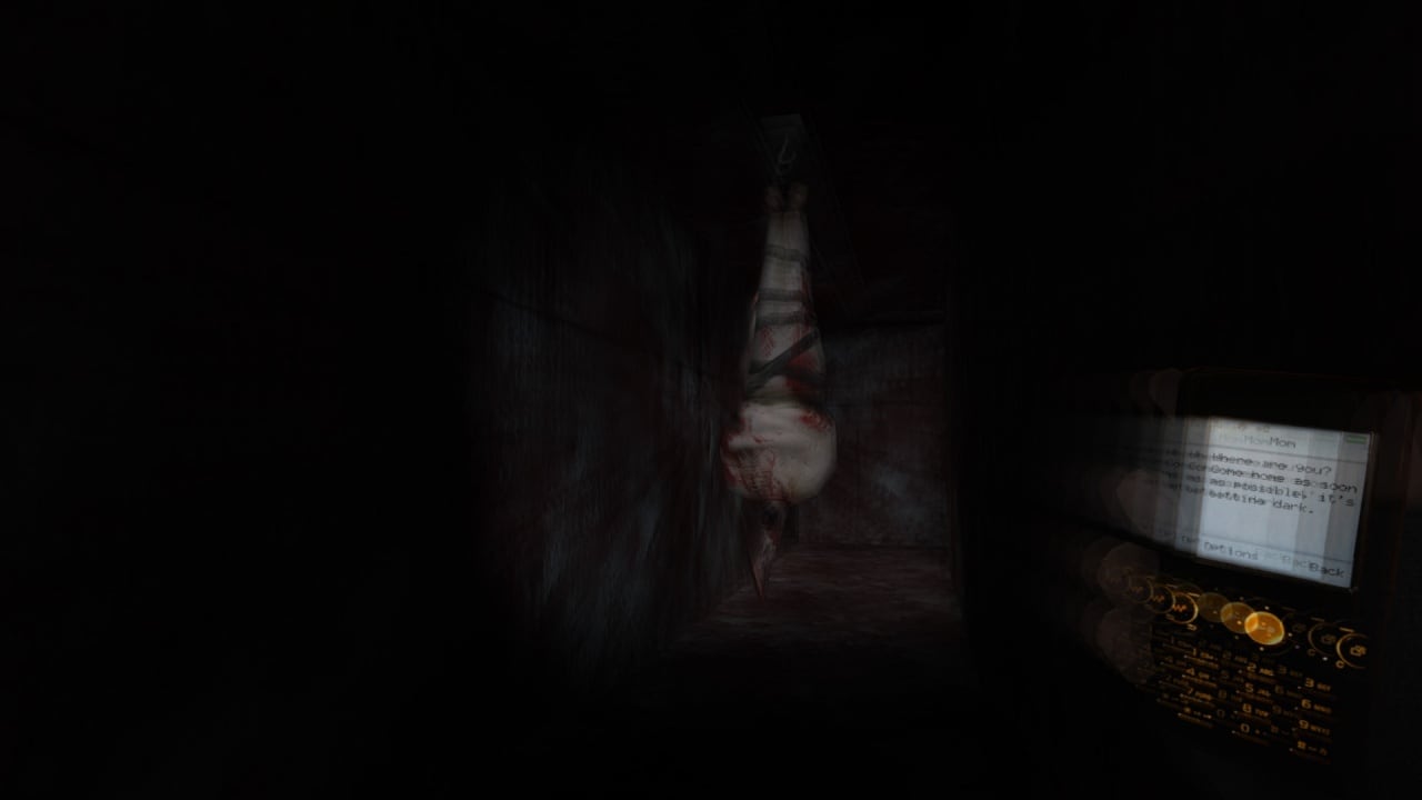 恐惧的呼喊[Cry of Fear] 游戏截图7