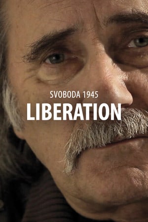 斯沃博达 1945：解放[Svoboda 1945: Liberation] 游戏封面