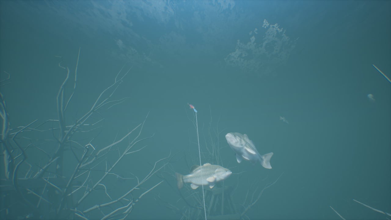 贝斯大师钓鱼 2022[Bassmaster Fishing 2022] 游戏截图9