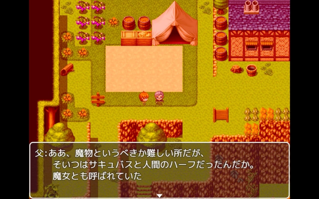 米莱娜的庄园[Milena's manor house] 游戏截图7