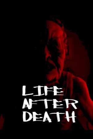 死后的生命[Life after Death] 游戏封面