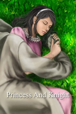 公主与骑士[Princess and Knight] 游戏封面