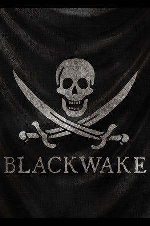 黑尾[Blackwake] 游戏封面