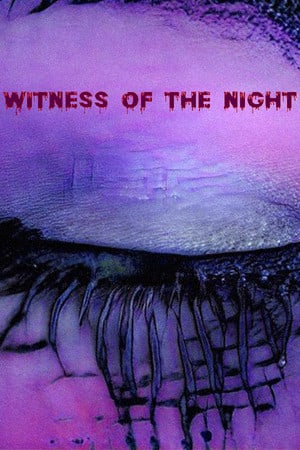 黑夜见证人[Witness of the Night] 游戏封面
