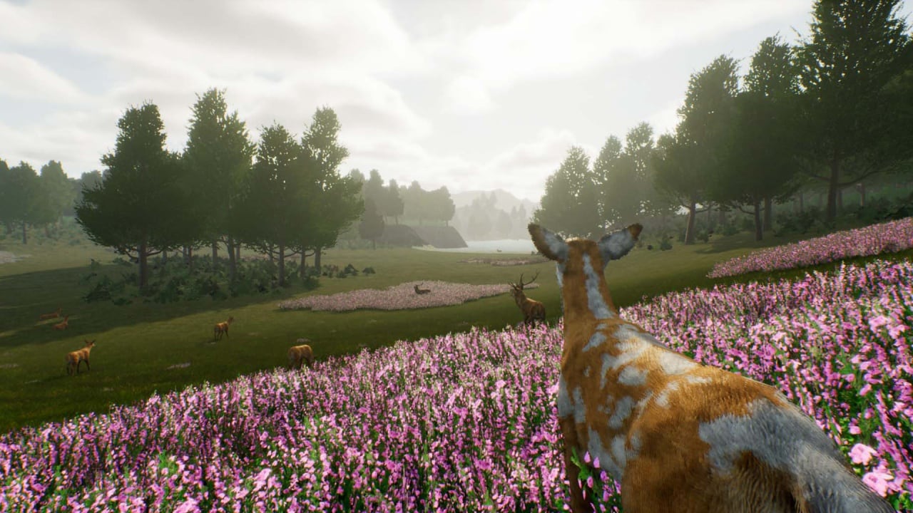 鹿之旅[Deer Journey] 游戏截图3