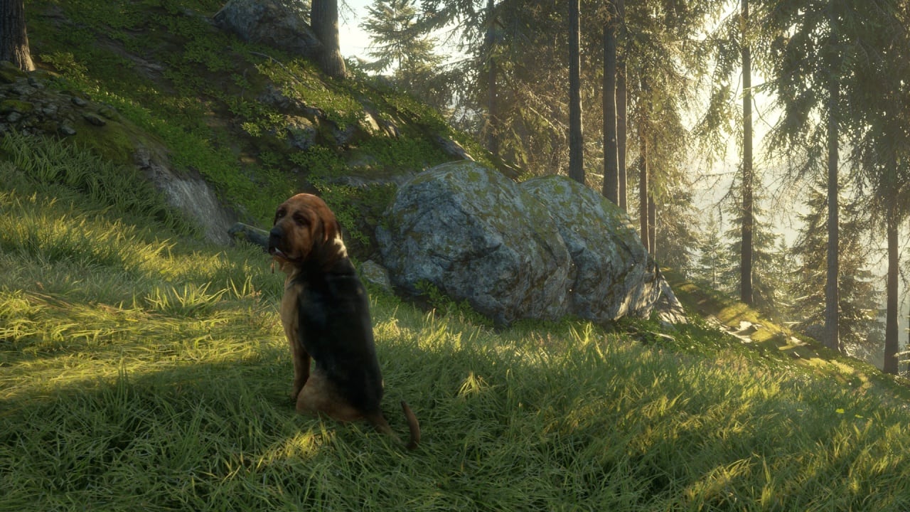 theHunter：野性的呼唤 - 寻血猎犬[theHunter: Call of the Wild - Bloodhound] 游戏截图6