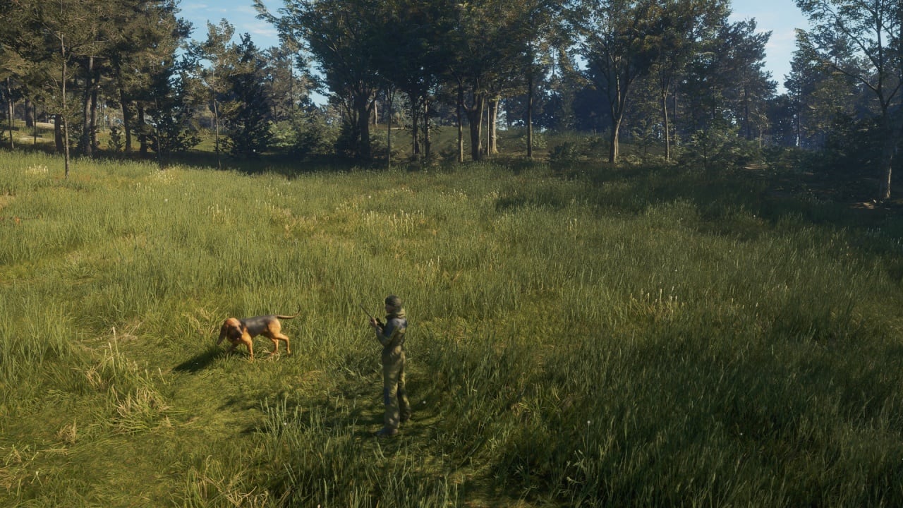 theHunter：野性的呼唤 - 寻血猎犬[theHunter: Call of the Wild - Bloodhound] 游戏截图8
