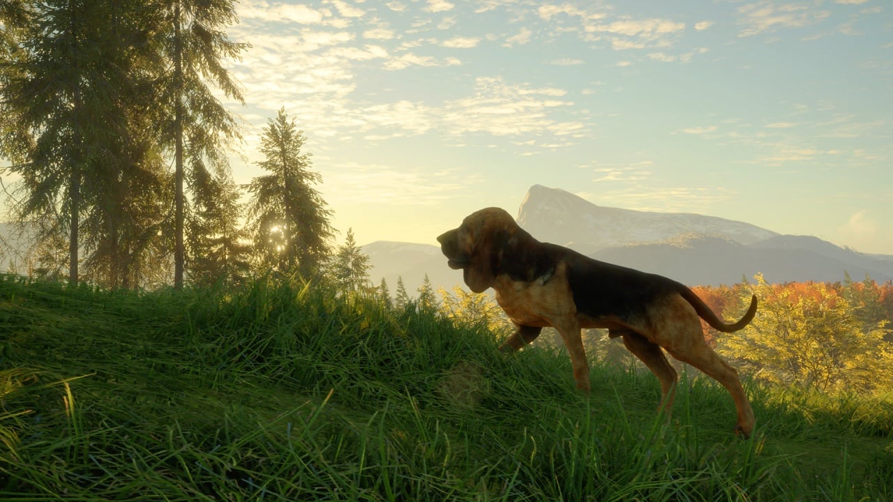 theHunter：野性的呼唤 - 寻血猎犬[theHunter: Call of the Wild - Bloodhound] 游戏截图5