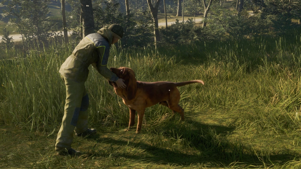 theHunter：野性的呼唤 - 寻血猎犬[theHunter: Call of the Wild - Bloodhound] 游戏截图7